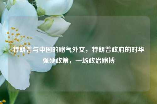 特朗普与中国的赌气外交，特朗普政府的对华强硬政策，一场政治赌博