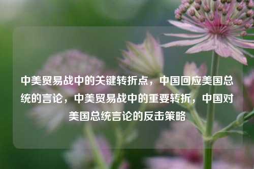 中美贸易战中的关键转折点，中国回应美国总统的言论，中美贸易战中的重要转折，中国对美国总统言论的反击策略