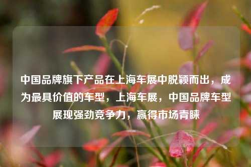 中国品牌旗下产品在上海车展中脱颖而出，成为最具价值的车型，上海车展，中国品牌车型展现强劲竞争力，赢得市场青睐