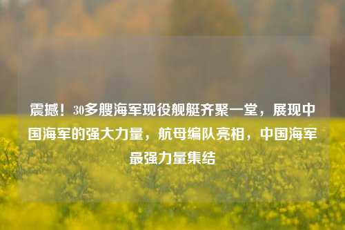 震撼！30多艘海军现役舰艇齐聚一堂，展现中国海军的强大力量，航母编队亮相，中国海军最强力量集结