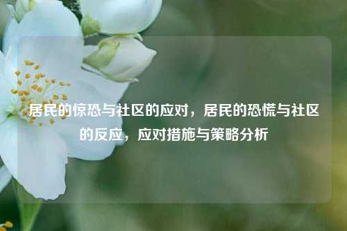居民的惊恐与社区的应对，居民的恐慌与社区的反应，应对措施与策略分析