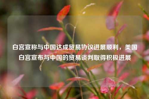 白宫宣称与中国达成贸易协议进展顺利，美国白宫宣布与中国的贸易谈判取得积极进展
