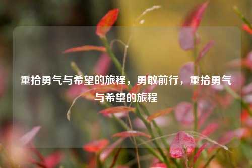 重拾勇气与希望的旅程，勇敢前行，重拾勇气与希望的旅程