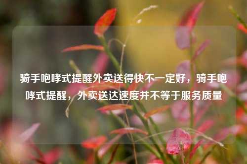 骑手咆哮式提醒外卖送得快不一定好，骑手咆哮式提醒，外卖送达速度并不等于服务质量