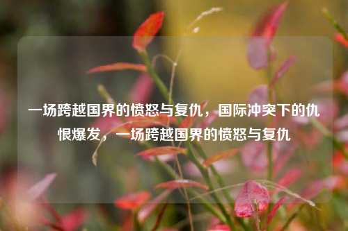 一场跨越国界的愤怒与复仇，国际冲突下的仇恨爆发，一场跨越国界的愤怒与复仇