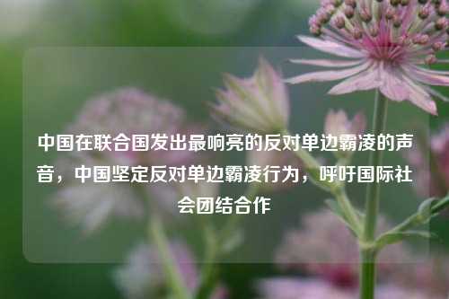 中国在联合国发出最响亮的反对单边霸凌的声音，中国坚定反对单边霸凌行为，呼吁国际社会团结合作