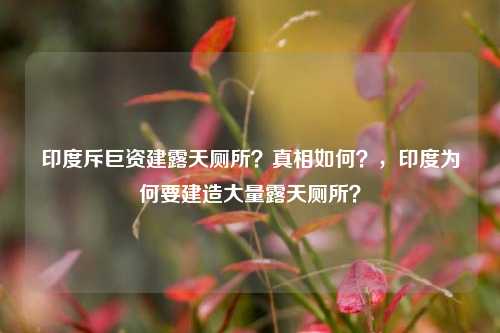 印度斥巨资建露天厕所？真相如何？，印度为何要建造大量露天厕所？