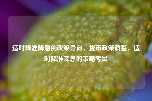 适时降准降息的政策导向，货币政策调整，适时降准降息的策略考量