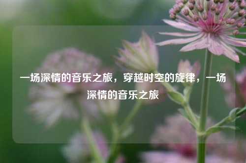 一场深情的音乐之旅，穿越时空的旋律，一场深情的音乐之旅