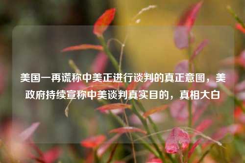 美国一再谎称中美正进行谈判的真正意图，美政府持续宣称中美谈判真实目的，真相大白