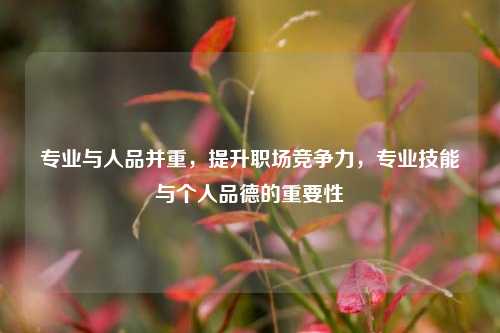 专业与人品并重，提升职场竞争力，专业技能与个人品德的重要性