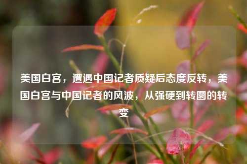 美国白宫，遭遇中国记者质疑后态度反转，美国白宫与中国记者的风波，从强硬到转圜的转变