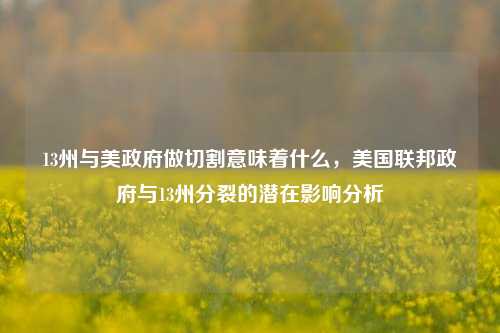 13州与美政府做切割意味着什么，美国联邦政府与13州分裂的潜在影响分析