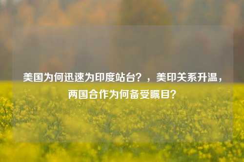 美国为何迅速为印度站台？，美印关系升温，两国合作为何备受瞩目？