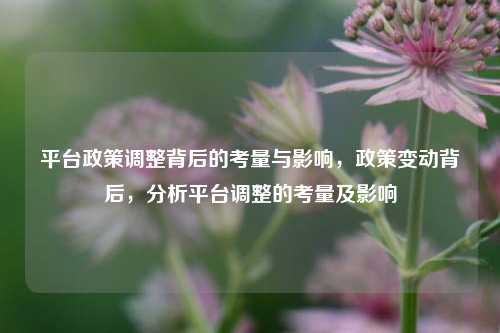 平台政策调整背后的考量与影响，政策变动背后，分析平台调整的考量及影响