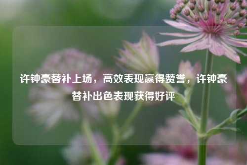 许钟豪替补上场，高效表现赢得赞誉，许钟豪替补出色表现获得好评