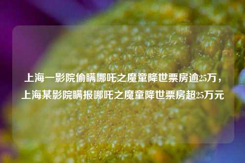 上海一影院偷瞒哪吒之魔童降世票房逾25万，上海某影院瞒报哪吒之魔童降世票房超25万元
