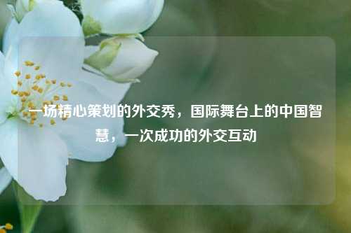 一场精心策划的外交秀，国际舞台上的中国智慧，一次成功的外交互动