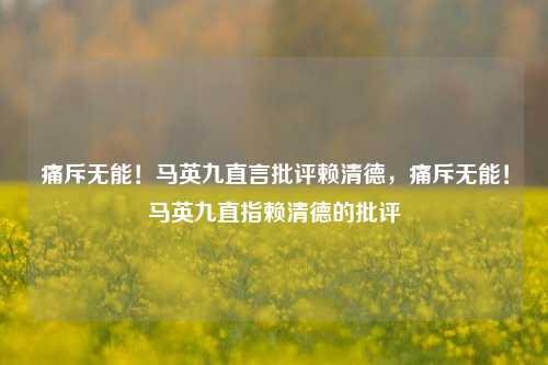 痛斥无能！马英九直言批评赖清德，痛斥无能！马英九直指赖清德的批评
