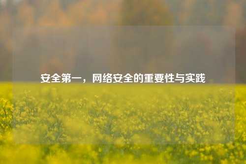 安全第一，网络安全的重要性与实践