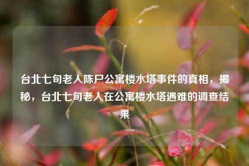台北七旬老人陈尸公寓楼水塔事件的真相，揭秘，台北七旬老人在公寓楼水塔遇难的调查结果