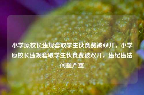 小学原校长违规套取学生伙食费被双开，小学原校长违规套取学生伙食费被双开，违纪违法问题严重