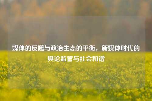 媒体的反噬与政治生态的平衡，新媒体时代的舆论监管与社会和谐