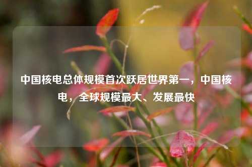 中国核电总体规模首次跃居世界第一，中国核电，全球规模最大、发展最快