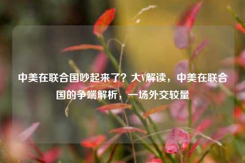 中美在联合国吵起来了？大V解读，中美在联合国的争端解析，一场外交较量