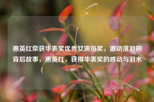 惠英红荣获华表奖优秀女演员奖，激动落泪的背后故事，惠英红，获得华表奖的感动与泪水