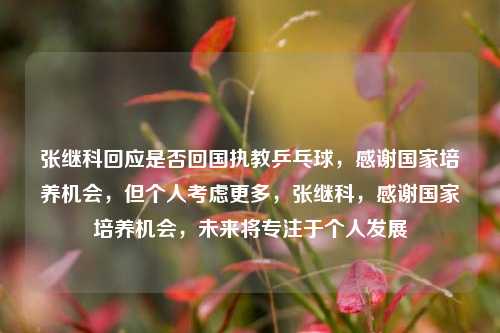 张继科回应是否回国执教乒乓球，感谢国家培养机会，但个人考虑更多，张继科，感谢国家培养机会，未来将专注于个人发展