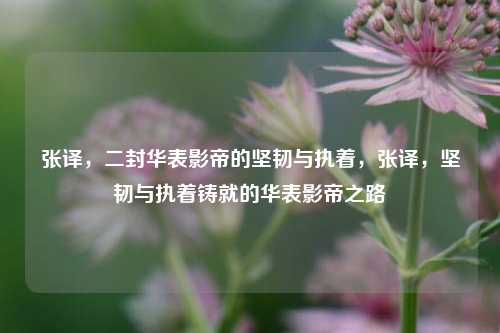 张译，二封华表影帝的坚韧与执着，张译，坚韧与执着铸就的华表影帝之路