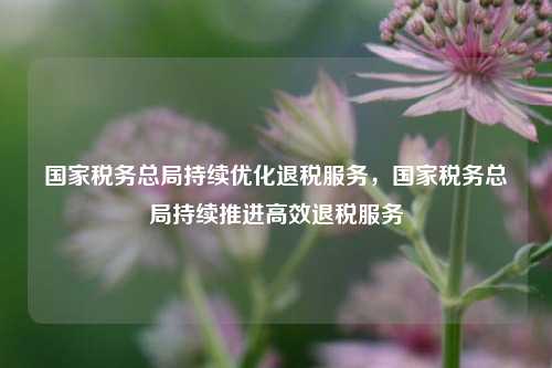 国家税务总局持续优化退税服务，国家税务总局持续推进高效退税服务