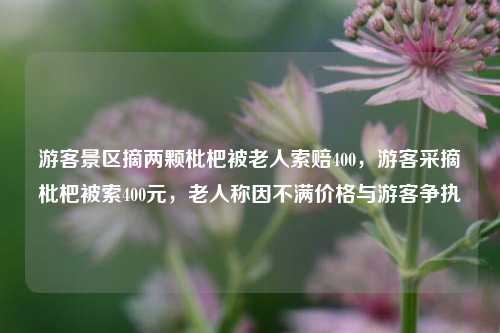 游客景区摘两颗枇杷被老人索赔400，游客采摘枇杷被索400元，老人称因不满价格与游客争执