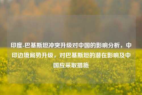 印度-巴基斯坦冲突升级对中国的影响分析，中印边境局势升级，对巴基斯坦的潜在影响及中国应采取措施