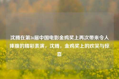 沈腾在第36届中国电影金鸡奖上再次带来令人捧腹的精彩表演，沈腾，金鸡奖上的欢笑与惊喜