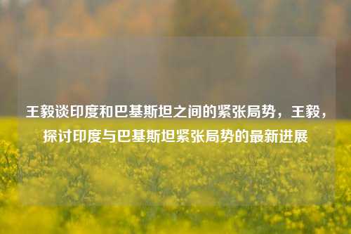 王毅谈印度和巴基斯坦之间的紧张局势，王毅，探讨印度与巴基斯坦紧张局势的最新进展