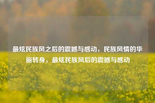 最炫民族风之后的震撼与感动，民族风情的华丽转身，最炫民族风后的震撼与感动