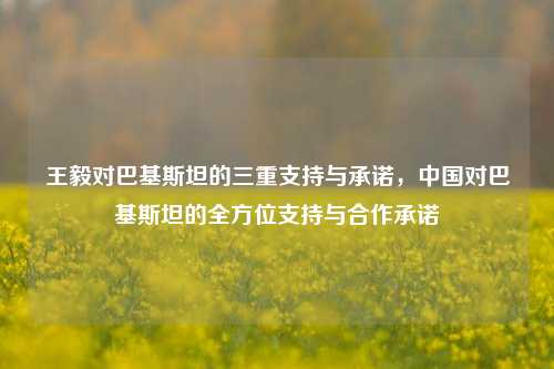 王毅对巴基斯坦的三重支持与承诺，中国对巴基斯坦的全方位支持与合作承诺