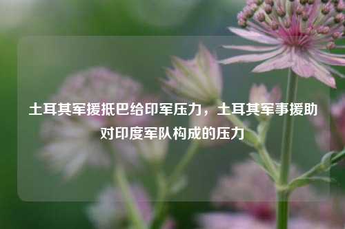 土耳其军援抵巴给印军压力，土耳其军事援助对印度军队构成的压力