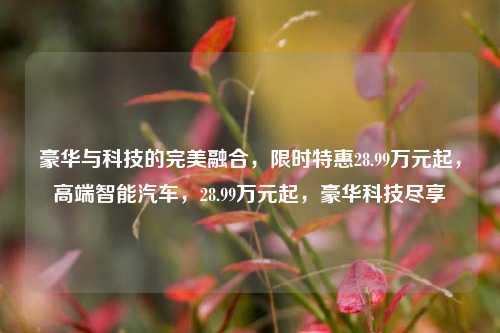 豪华与科技的完美融合，限时特惠28.99万元起，高端智能汽车，28.99万元起，豪华科技尽享