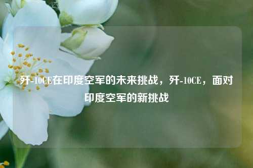 歼-10CE在印度空军的未来挑战，歼-10CE，面对印度空军的新挑战