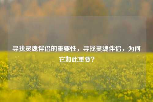 寻找灵魂伴侣的重要性，寻找灵魂伴侣，为何它如此重要？