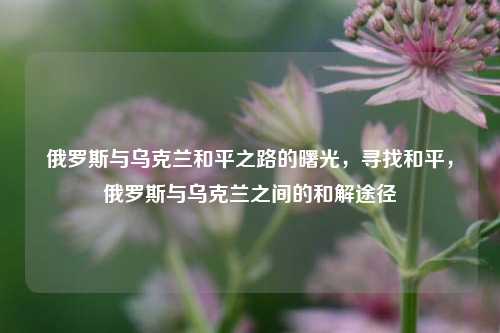 俄罗斯与乌克兰和平之路的曙光，寻找和平，俄罗斯与乌克兰之间的和解途径