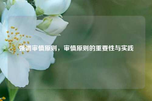 强调审慎原则，审慎原则的重要性与实践