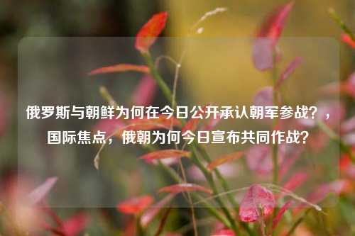 俄罗斯与朝鲜为何在今日公开承认朝军参战？，国际焦点，俄朝为何今日宣布共同作战？
