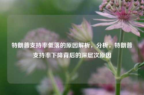 特朗普支持率低落的原因解析，分析，特朗普支持率下降背后的深层次原因