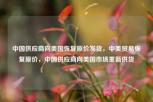 中国供应商向美国恢复原价发货，中美贸易恢复原价，中国供应商向美国市场重新供货