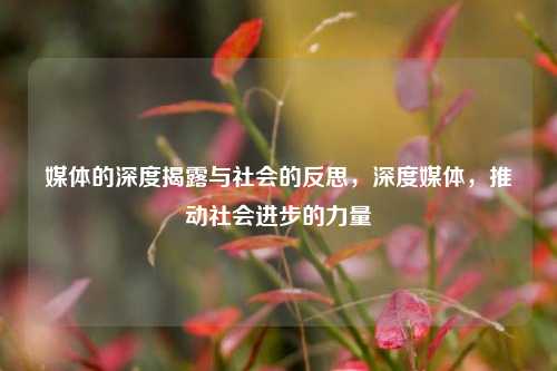 媒体的深度揭露与社会的反思，深度媒体，推动社会进步的力量