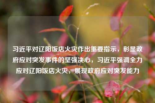 习近平对辽阳饭店火灾作出重要指示，彰显政府应对突发事件的坚强决心，习近平强调全力应对辽阳饭店火灾，展现政府应对突发能力